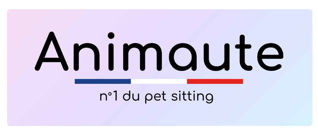Animaute 2