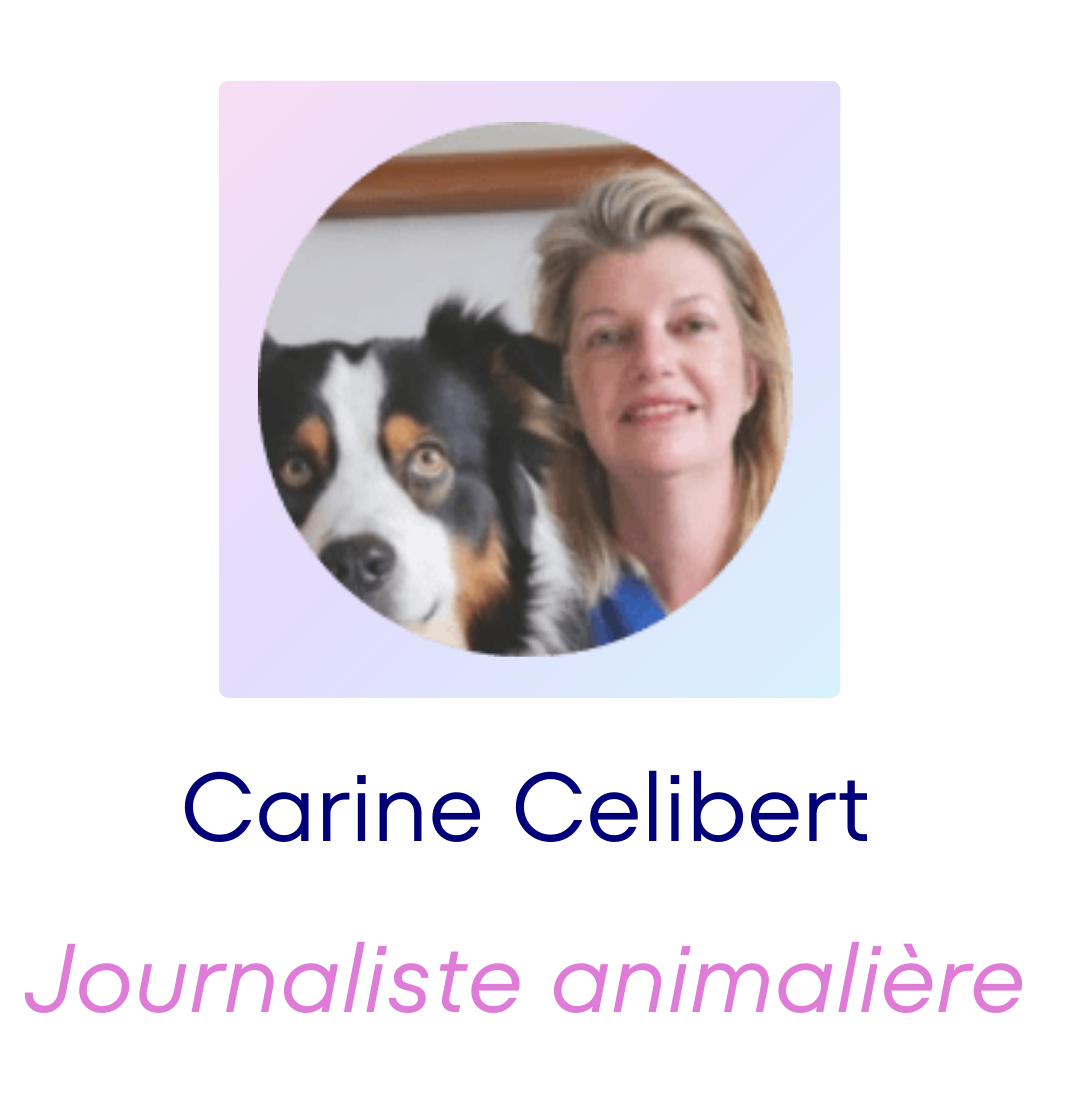 Carine 2